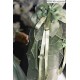 Bramble Rose Glazed Flower Stream OPs(Reservation/4 Colours/Full Payment Without Shipping)